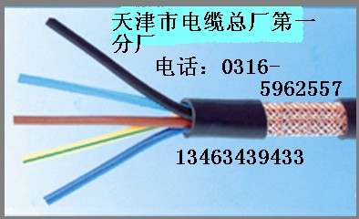 屏蔽型局用電纜 屏蔽型局用電纜HJVVP 屏蔽型局用電纜規(guī)格