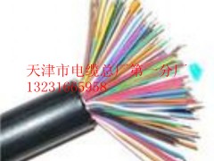 誠信供應(yīng)HYYP,HPVV通訊電纜50對80對