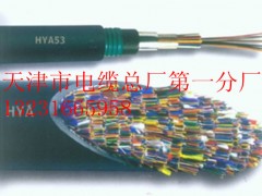 天津促銷鋼帶鎧裝通訊電纜 HYA53、HYAT53