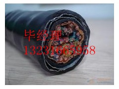 防鼠咬鋼帶通信電纜24x0.75 鎧裝通信電纜