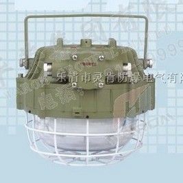 DGS55/127W(A)隔爆型無極燈,礦用無極燈,55W無極燈