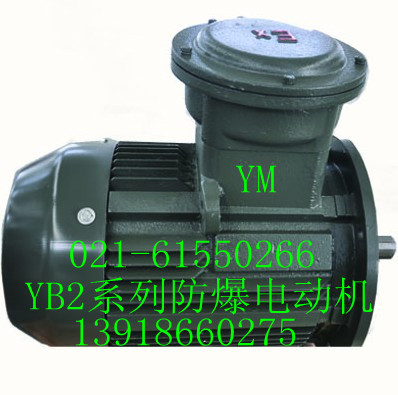 上海亞琦供應(yīng)YB2-200L2-6防爆電機(jī)|上?，F(xiàn)貨