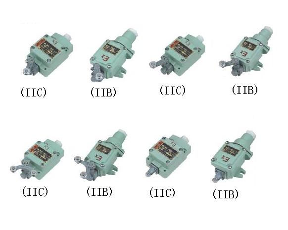 防爆行程開關  BLX69系列防爆行程開關(ⅡB、ⅡC)