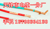 長春1X2X13AWG電纜生產(chǎn)，長春ASTP-120歐姆電纜廠家