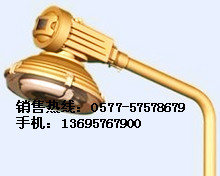 SBR1120系列免維護(hù)節(jié)能防爆道路燈