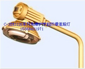 SBR1120系列免維護(hù)節(jié)能燈 SBR1120系列免維護(hù)節(jié)能燈