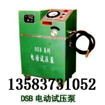 DSY-60電動(dòng)試壓泵，電動(dòng)試壓泵廠家