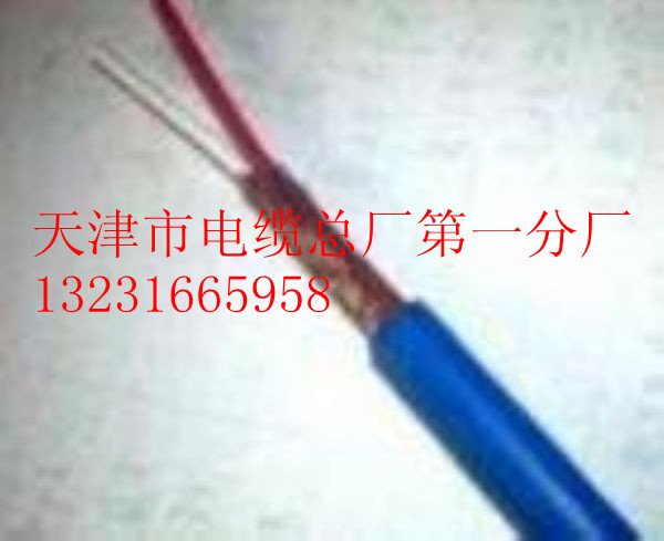 礦用信號(hào)電纜MHYVR 1×2×7/0.28//生產(chǎn)廠家