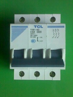 TCL小型斷路器TLB1-100C100/2P