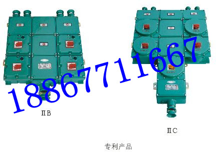 防爆照明配電箱 BXM（D）-6K防爆防腐動力配電箱