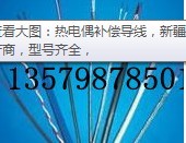 新疆壓力表YD熱電偶烏魯木齊耐震壓力表、工業(yè)熱電偶