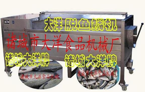 多功能去魚鱗機、專業(yè)高效淡水魚脫鱗機 大洋機械應有盡有