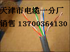 撫順供應(yīng)IAK2YVP，IAK2YVP22，撫順本安信號(hào)電纜