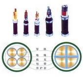 吳江本安系統(tǒng)電源電纜廠家，吳江本安系統(tǒng)電源IAJYVP電纜銷售，