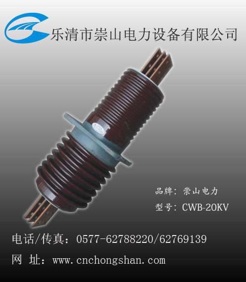 CWB-20/2500A高壓穿墻套管價格和廠家