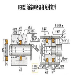 USH活塞與活塞桿專用密封件-nok密封件-天津?qū)Ｙu