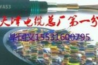 《國家標準》全塑通信電纜HYA(T)600*2*0.9