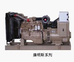 柴油 發(fā)電機(jī)組的檢·查管理·400-9965-8RT70