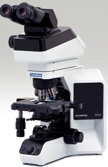 LED光源奧林巴斯顯微鏡BX43