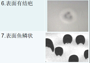 科視創(chuàng)鋰電池極片表面缺陷檢測-表面有白斑/表面有魚鱗狀