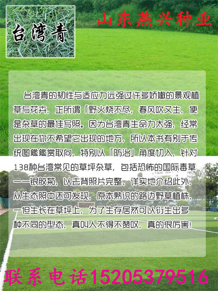 湖南省永州市護坡草種子批發(fā)價格