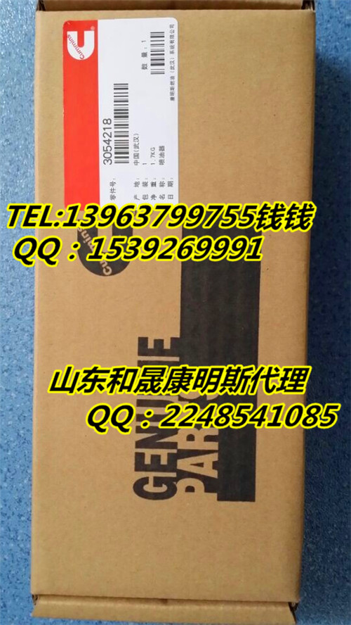 晉市康明斯發(fā)電機(jī)組KTA19【3077715噴油器】大供貨商