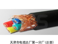 全塑局用通信電纜HJVV定做