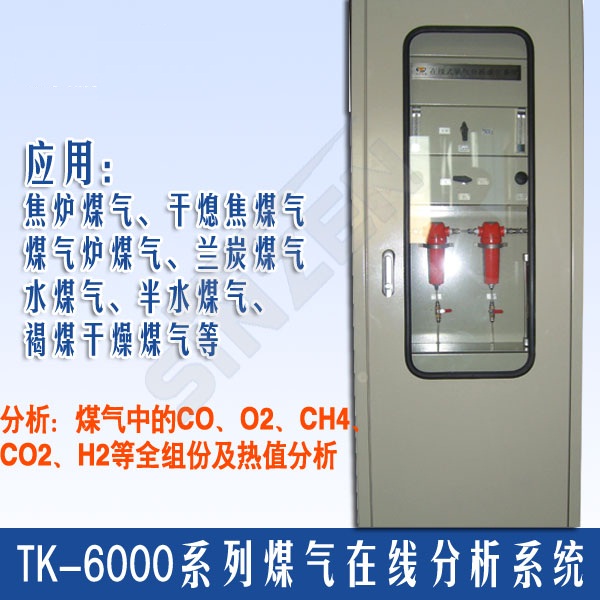 煤氣發(fā)生爐氧含量分析系統(tǒng)TK-6000