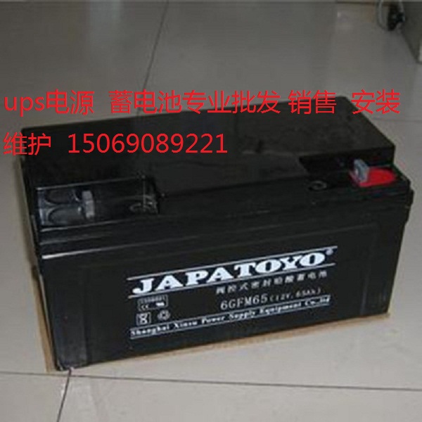 ups電源免維護蓄電池6FM17東洋蓄電池JAPATOYO12V17AH