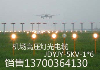 陜西機場通訊電纜TPYV22國標生產(chǎn)，