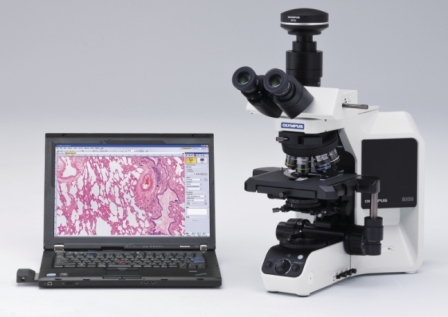 奧林巴斯BX51熒光顯微鏡
