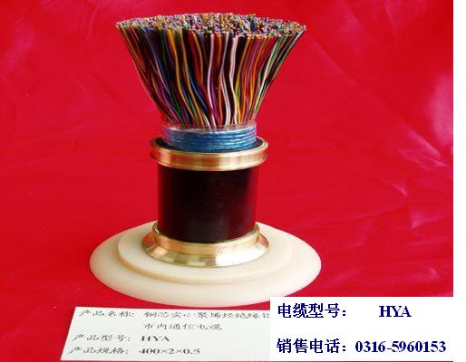 生產(chǎn)DJVP3V8×2×0.5計算機(jī)電纜