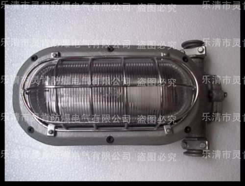 DGC35/127N(B)隔爆型支架燈，礦用支架燈，35W支架燈