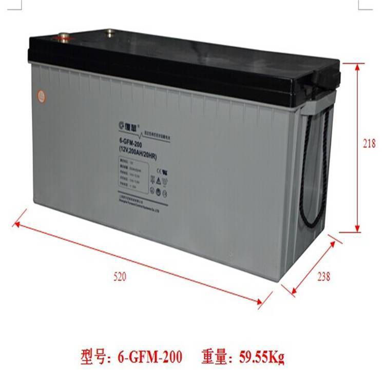 復華蓄電池6-GFM-65保護神蓄電瓶12V65AH UPS/EPS直流屏備用