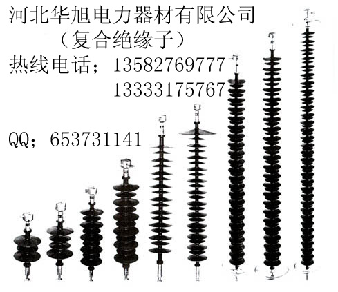 220KV復(fù)合絕緣子 FXBW-35/100 FXBW-10/100 FXBW-