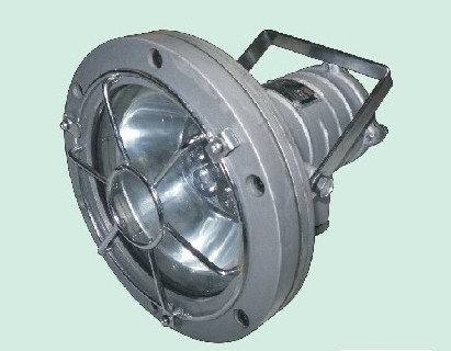 DGS20/127L（A）廠家直銷礦用隔爆型LED投光燈