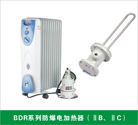 BDR系列防爆電加熱器