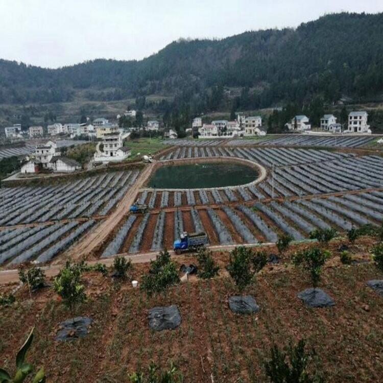 農用防草布果園除草布能用幾年