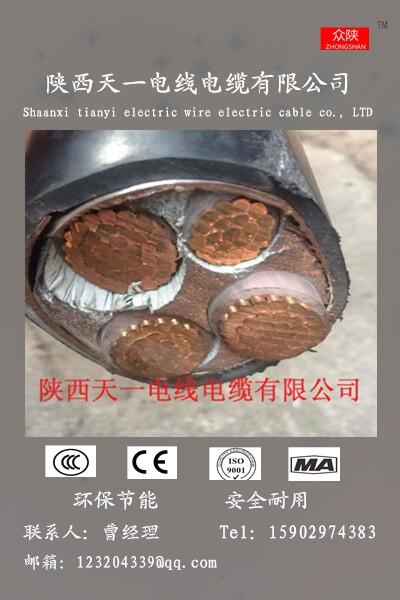 YJV223*25+1*16陜西電纜廠價(jià)格，西安電線電纜廠，陜西電力電纜