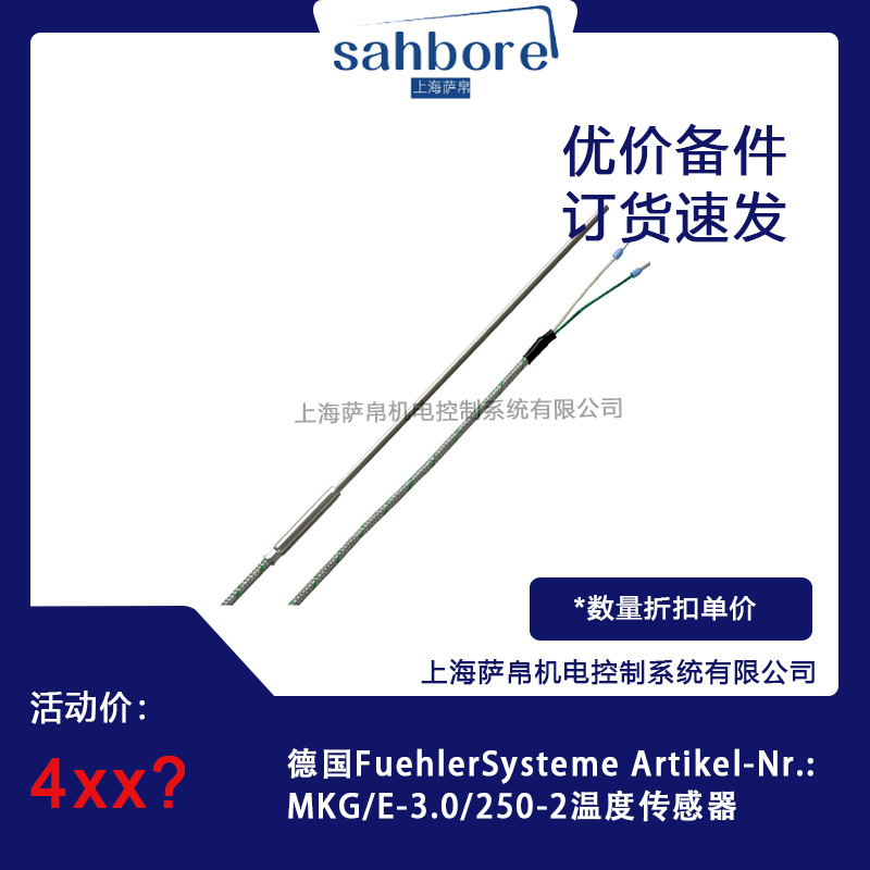 德國FuehlerSysteme MKG/E-3.0/250-2溫度傳感器 議價