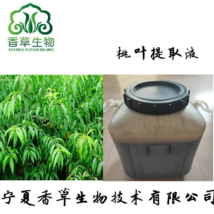 桃葉提取液 桃葉浸膏1.0-1.3比重 桃葉濃縮液 桃葉提取物