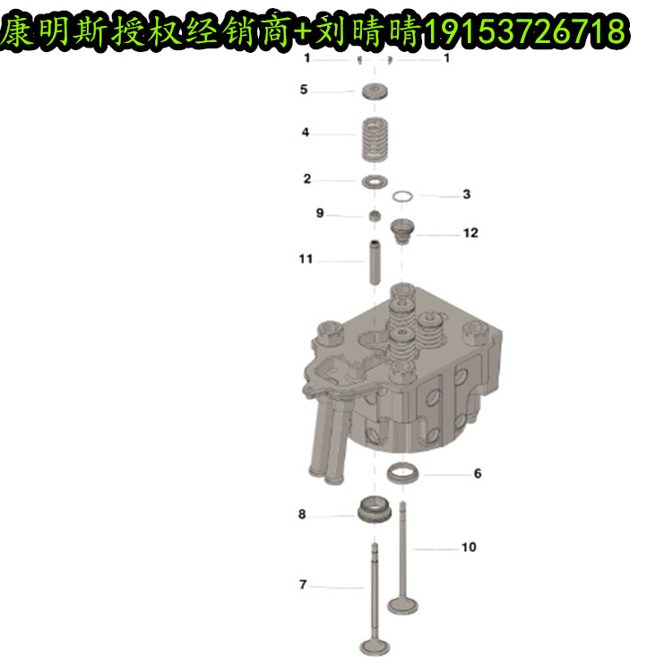 4955769缸蓋大修組件 KIT,CYLINDER HEAD REBUILD