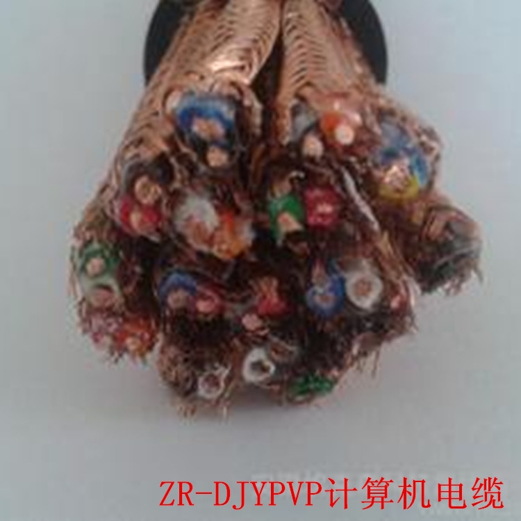 DJYPV DJYPVP電子計算機(jī)用電纜DJYJVP22