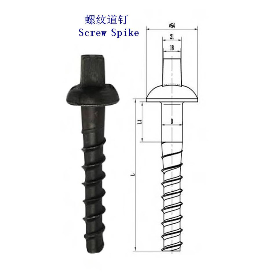 津巴布韋Ss36螺紋道釘廠家