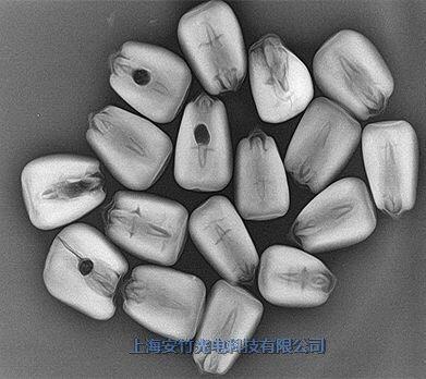 農(nóng)林樹木蟲害檢測(cè)儀 農(nóng)林蟲害檢測(cè)儀器