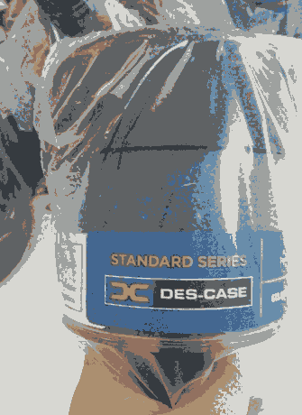 DES-CASE濾芯