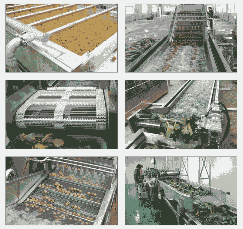 果蔬清洗流水線全套設(shè)備及使用說明  果蔬加工設(shè)備生產(chǎn)廠家