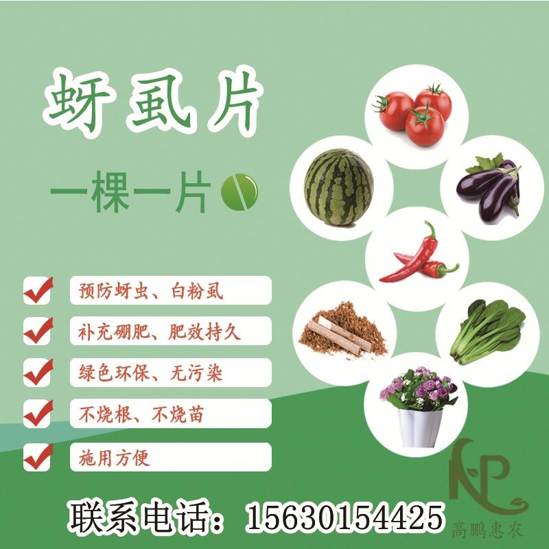 長(zhǎng)治茄果用一棵一片