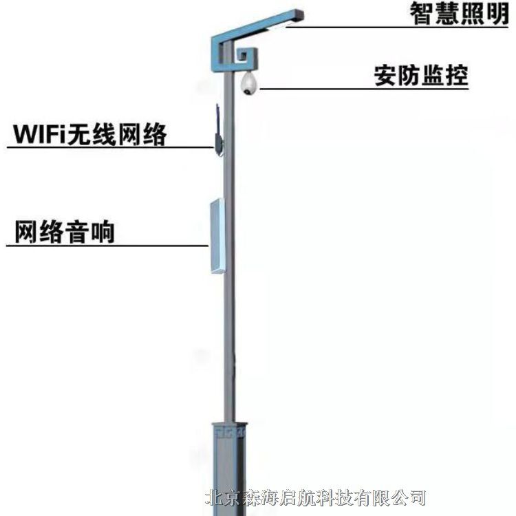 智慧路燈 長期供應(yīng)戶外照明燈具