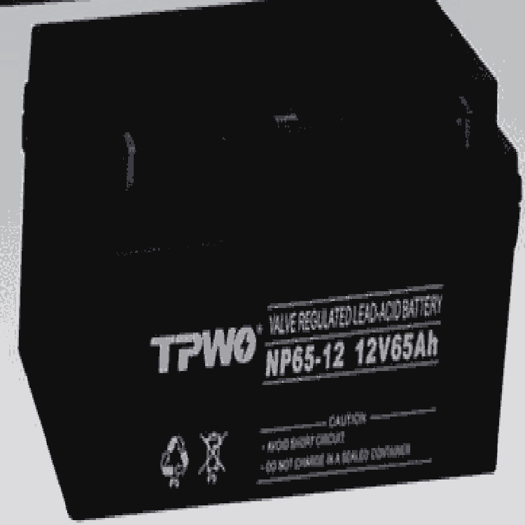 TPWO拓普沃NP65-12蓄電池12V65AH市場報(bào)價(jià)